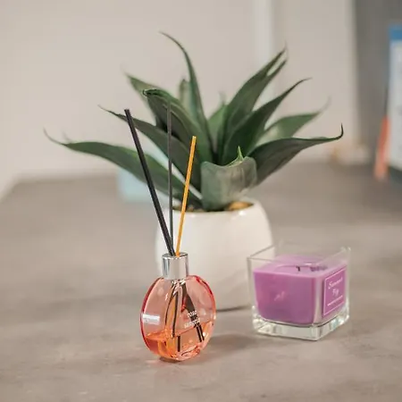 Gavas Viva City アパート *