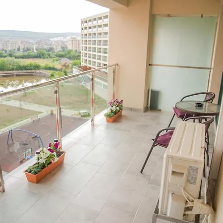 Gavas Viva City
