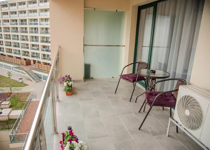 Gavas Viva City Kluž