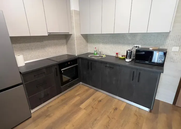 Gavas Viva City Kluž