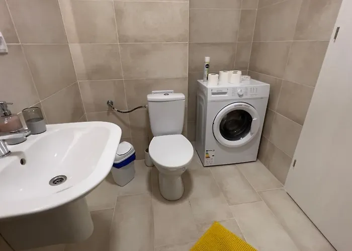 Gavas Viva City * Kluž