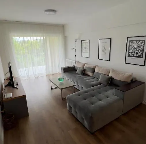 Gavas Viva City Kluž